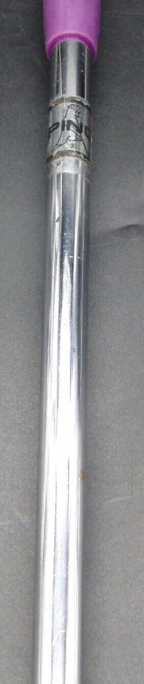 Ping Pal 2 Becu Putter Steel Shaft 86.5cm Length Iguana Golf Grip 11 Ping Pal 2 Becu Putter Steel Shaft 86.5cm Length Iguana Golf Grip - Image 9